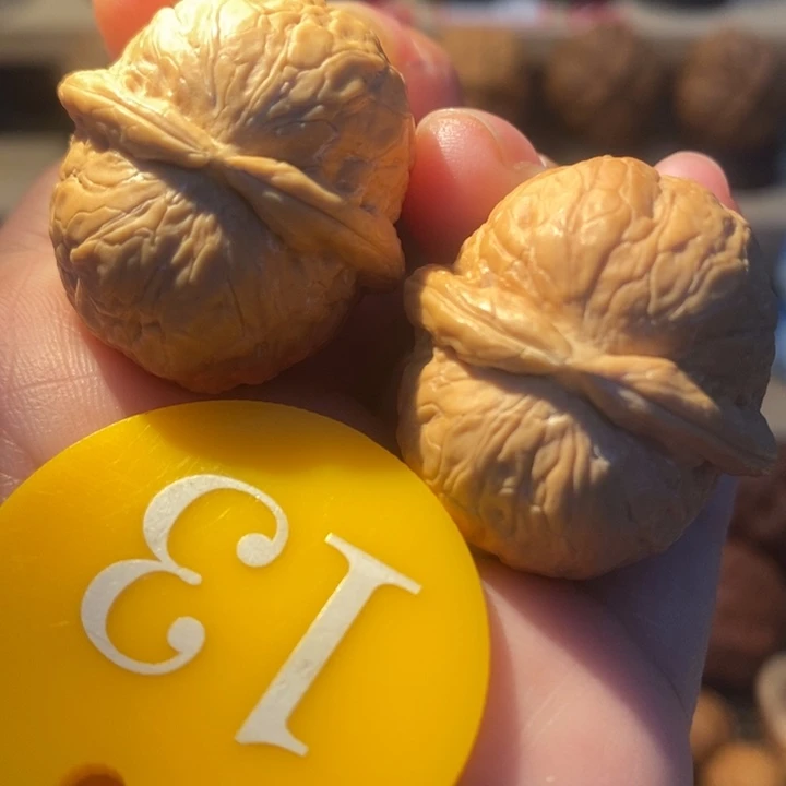 核桃25号链接小飞碟31尺寸