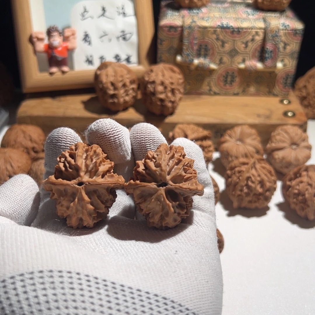 粉***花核桃全品无修 38 招财树 大红皮