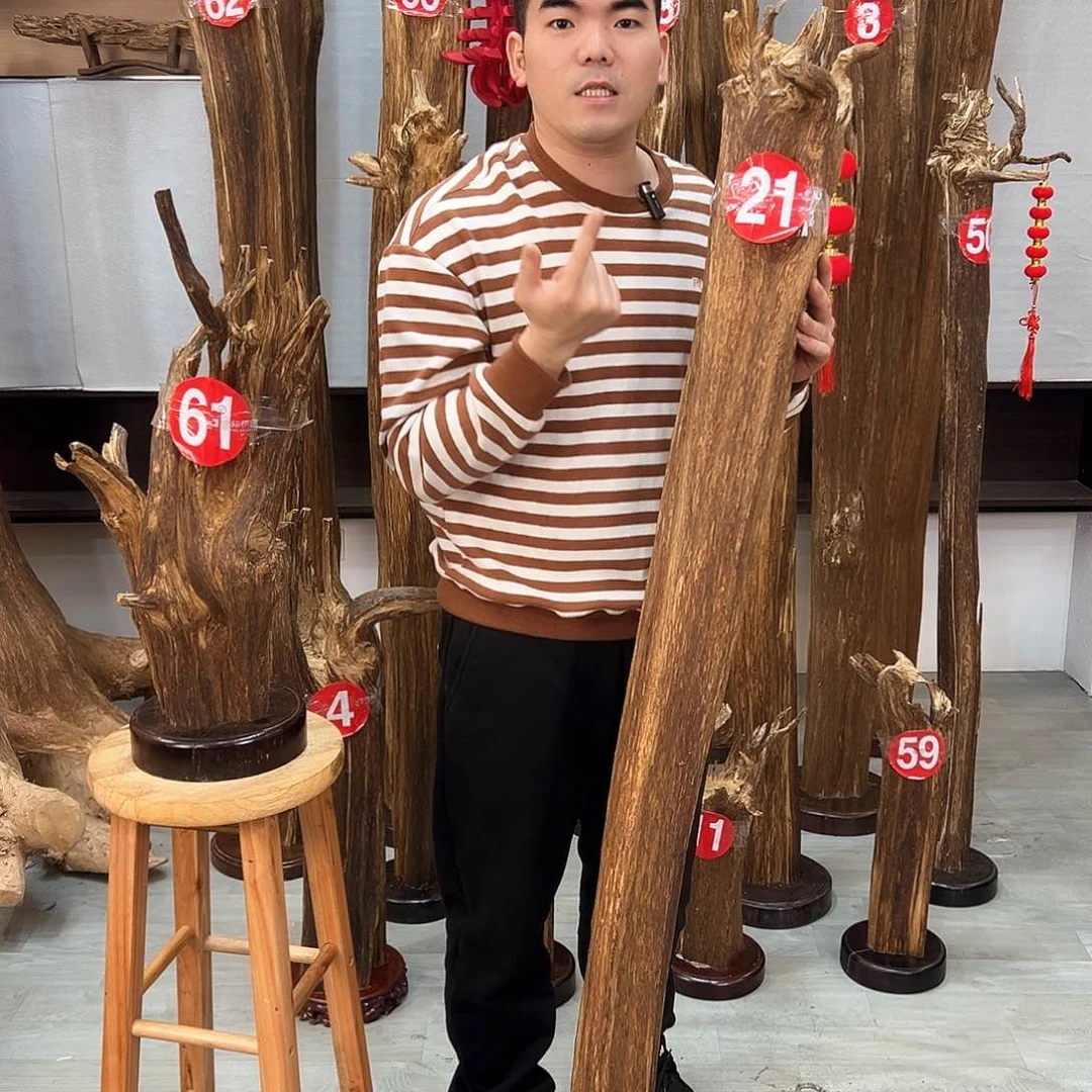 沉香摆件海南沉香摆件