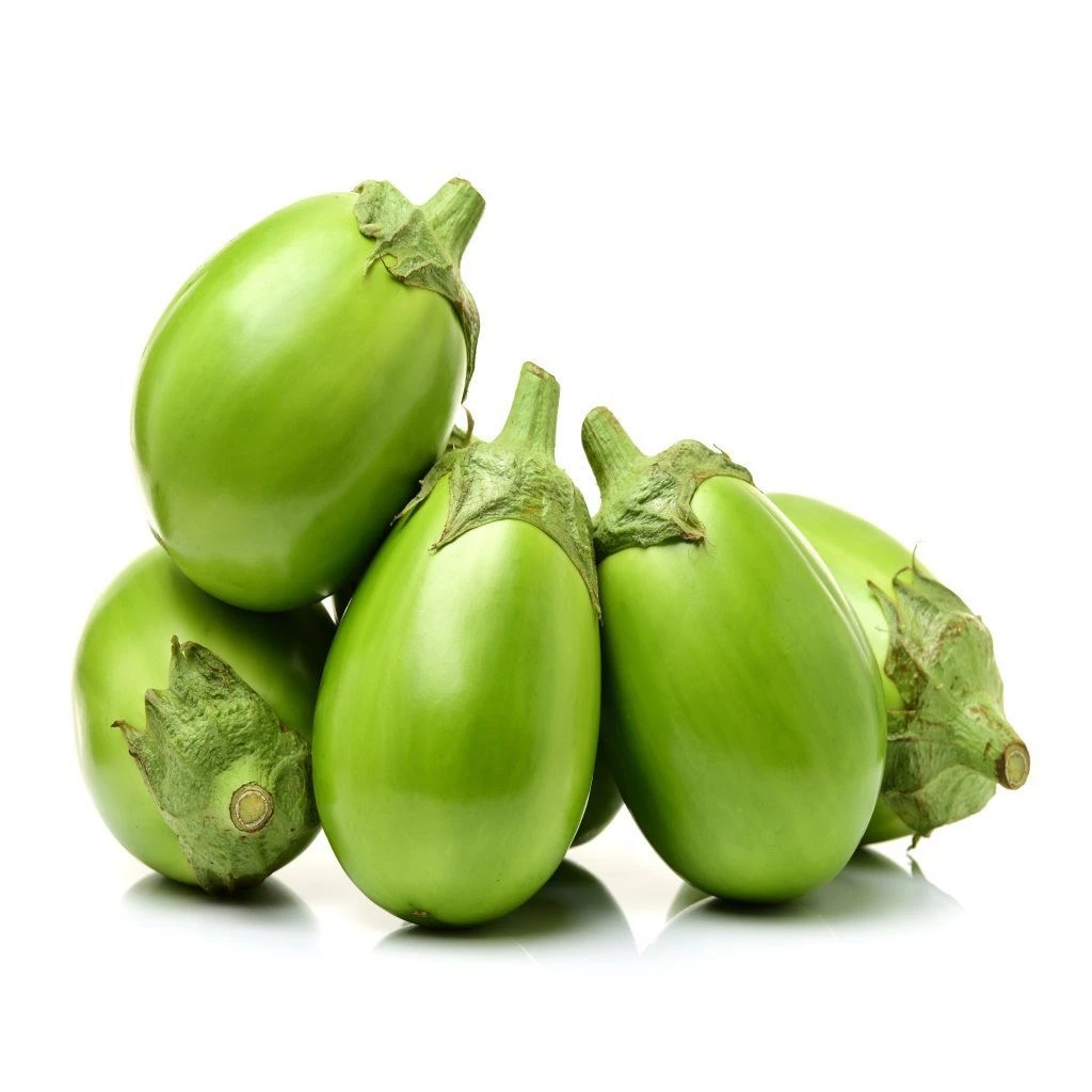 （回馈粉丝）河南新鲜采摘紫花青茄坏烂包赔青茄子