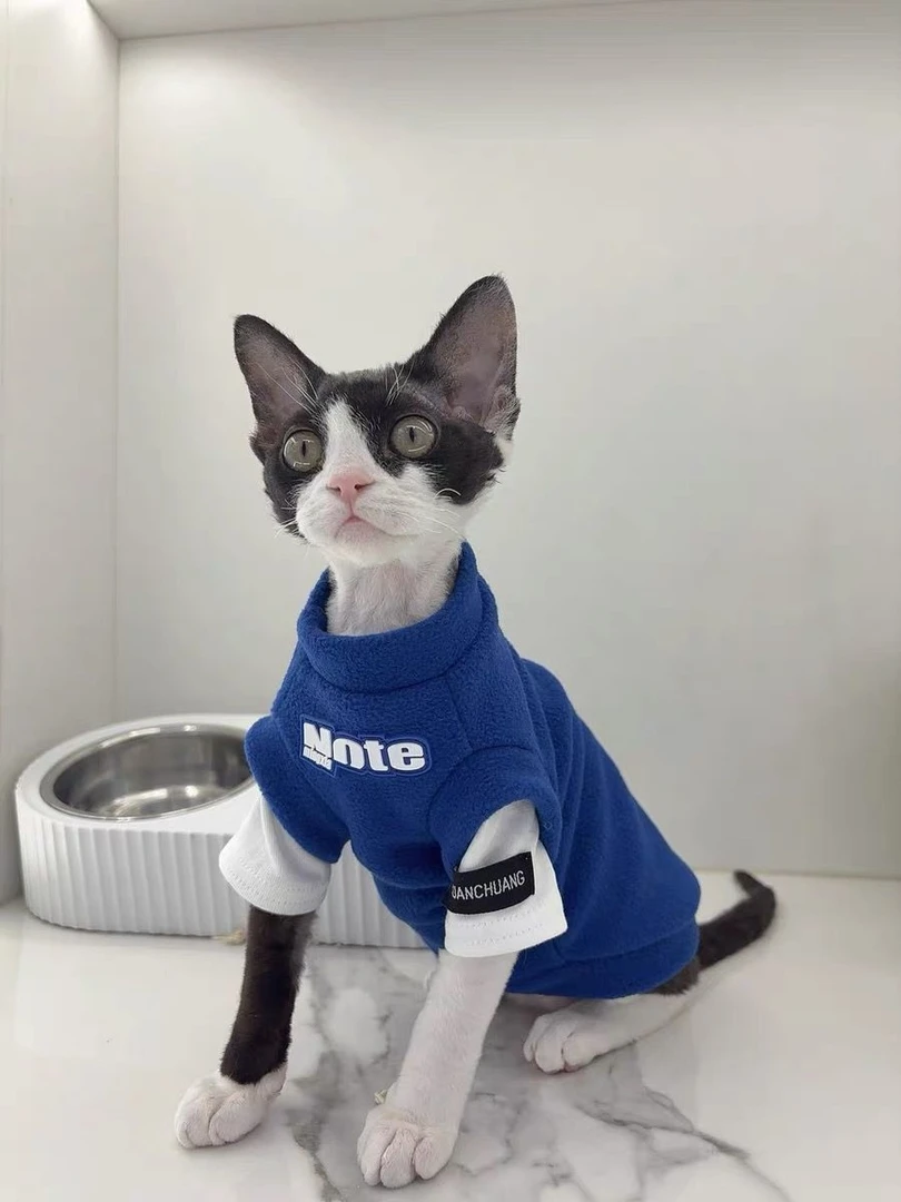 假两件猫咪衣服秋冬装保暖无毛猫德文橘猫幼猫防着凉帅气宠物卫衣
