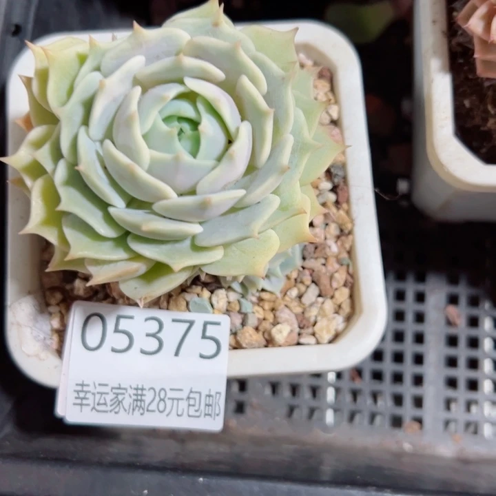 幸运的是我没有遇到过这么