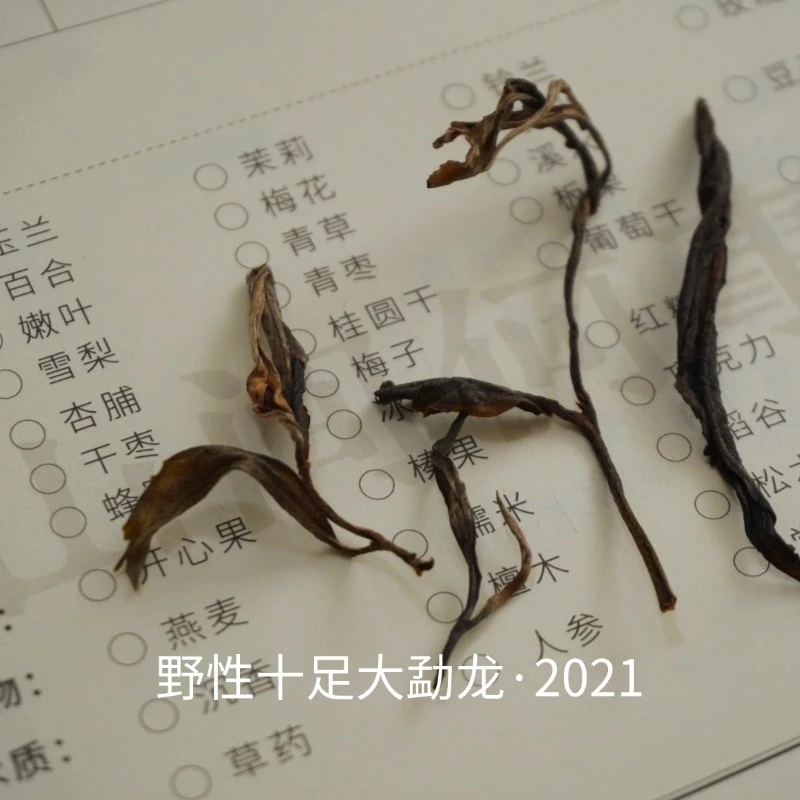 【大勐龙古树野性十足】2021年云南勐海大勐龙普洱生茶散茶50g/袋