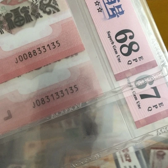 塑料蛇钞五同号33135