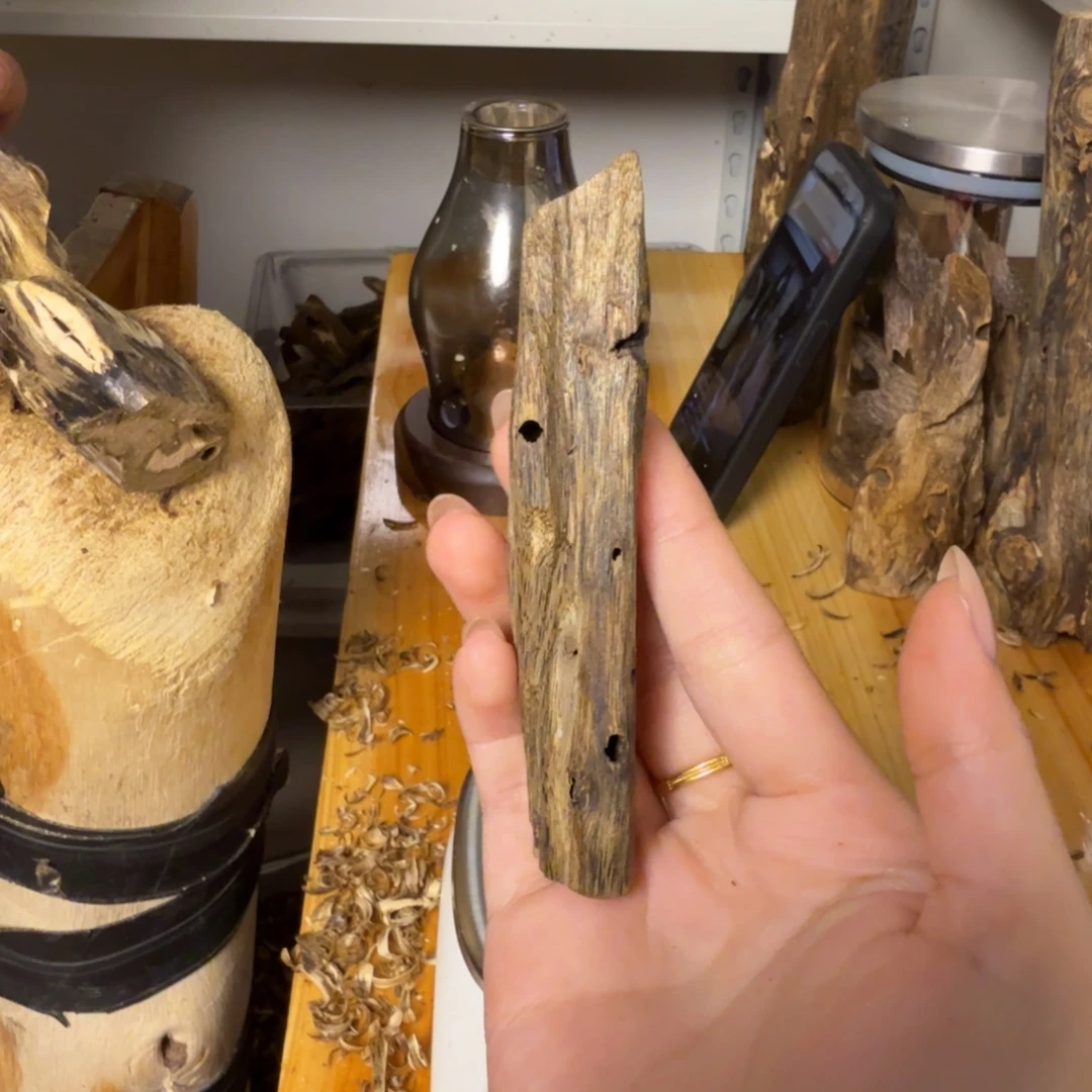 沉香白奇虫漏香7.9克