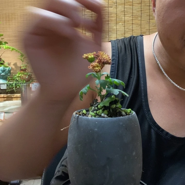 一物一拍所见即所得181