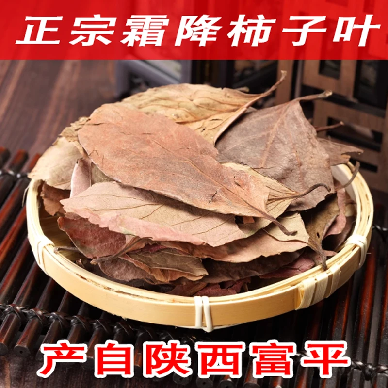 霜降柿子叶柿子干叶叶