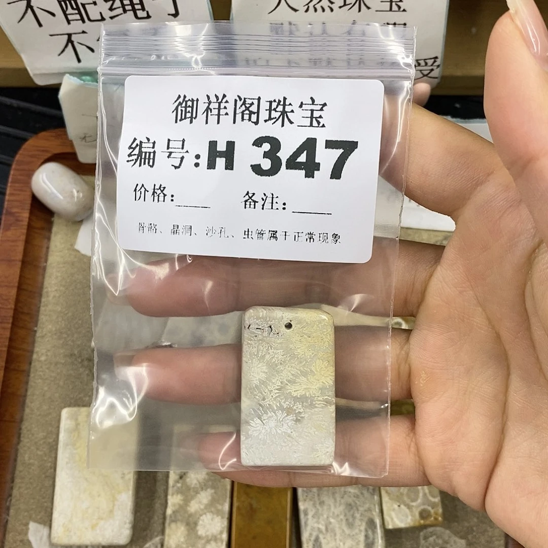 硅化珊瑚（珊瑚玉）未镶嵌颈饰焯*