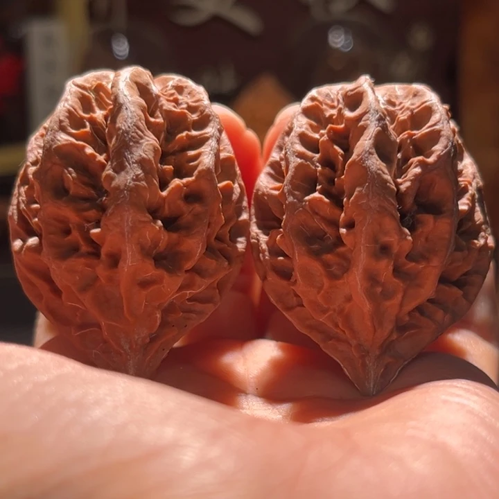 文玩核桃吊坠橘珊瑚17