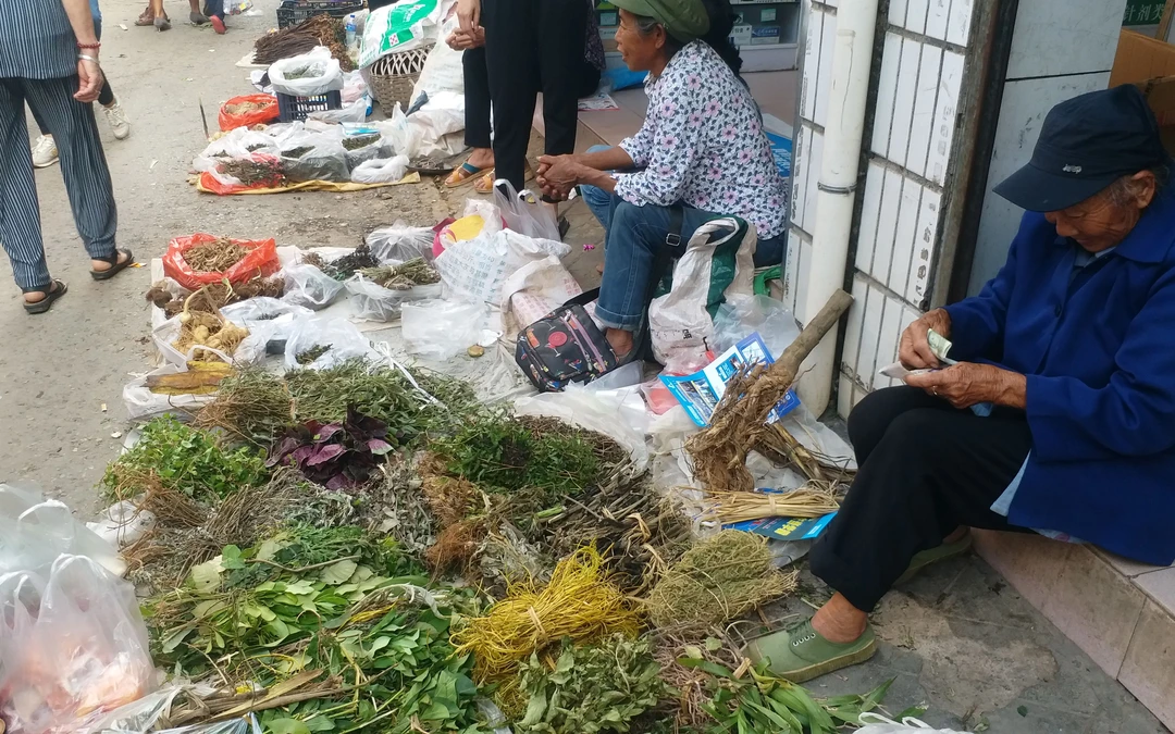 贵州绿植阳台盆栽直播间一物一拍500克可观赏