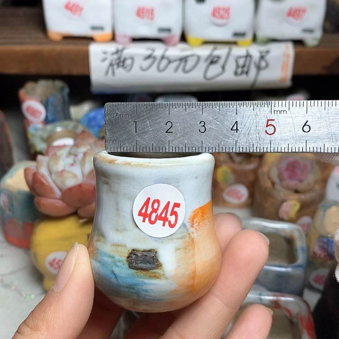 红陶拍5送一个小