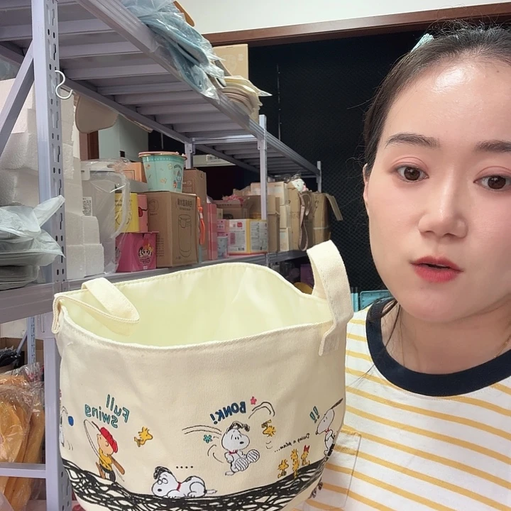 PU箱包收纳箱等物品