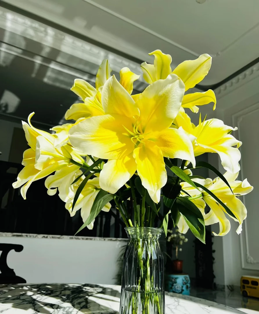 1【6朵  黄色香水百合】任意拍两单升级顺丰/京东  云南鲜花基地