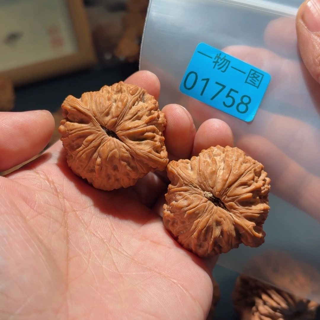 文玩核桃把件泥鳅背