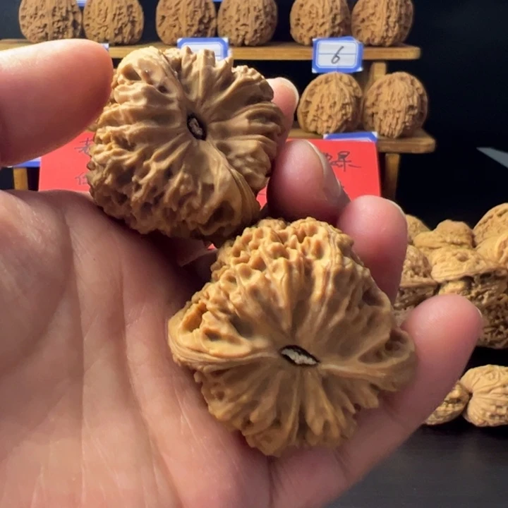 东***子南疆石狮子头一对