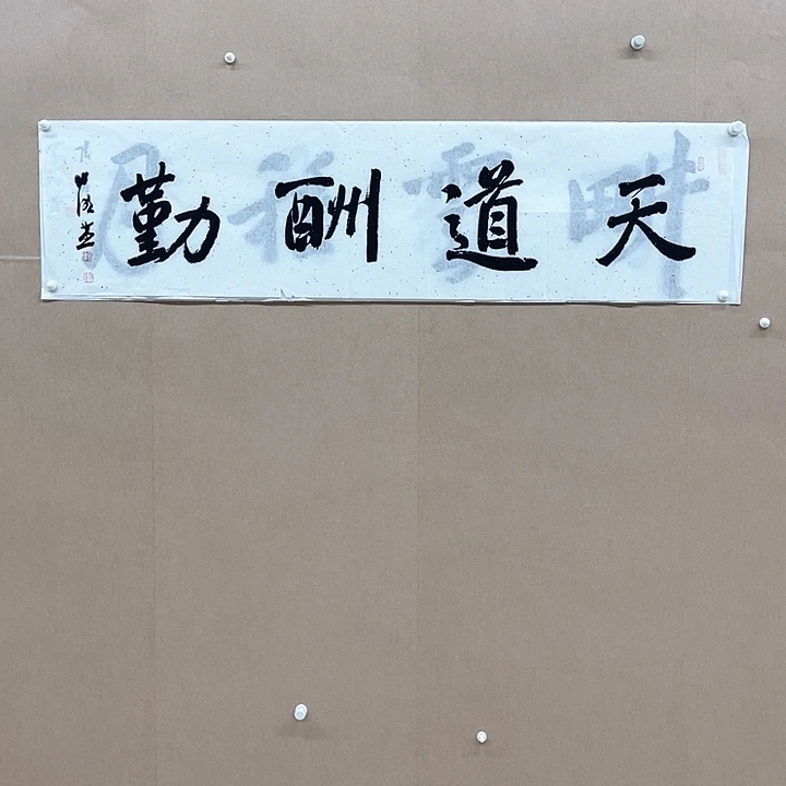 书法张晓燕138*34㎝甘肃LS