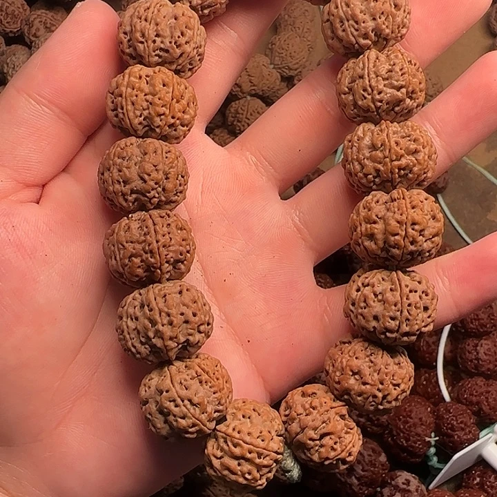 江***啊金刚菩提满肉六瓣