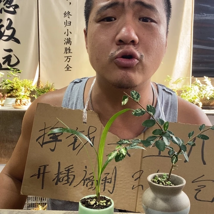 无花朵退款拉黑拉黑56