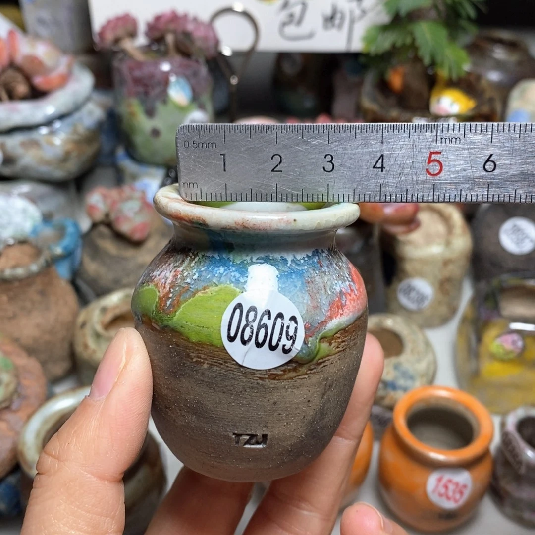 花盆拍5送一个小礼物