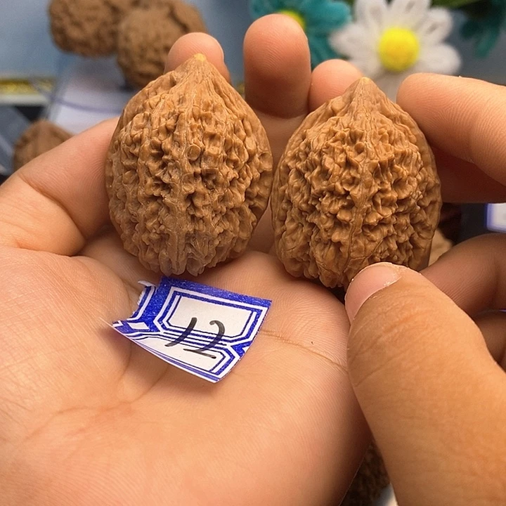 把件文玩核桃35蒜头（水尖）