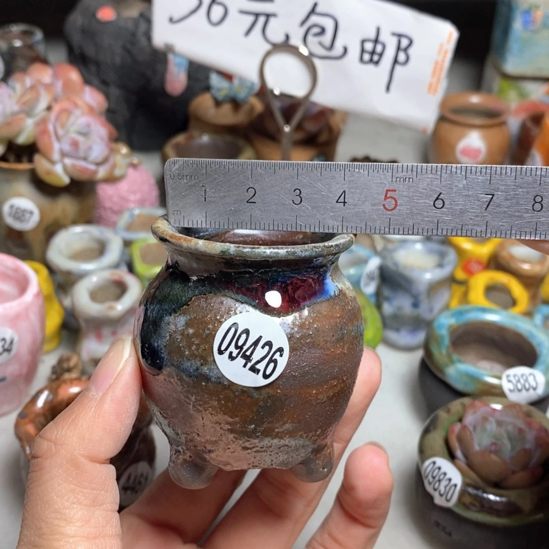 拍5送一个小礼物