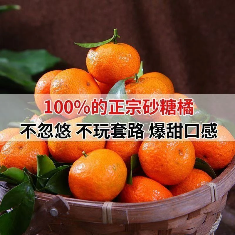 正宗广西桂林砂糖橘小橘子纯甜无渣不打蜡染色洗药水现摘现发