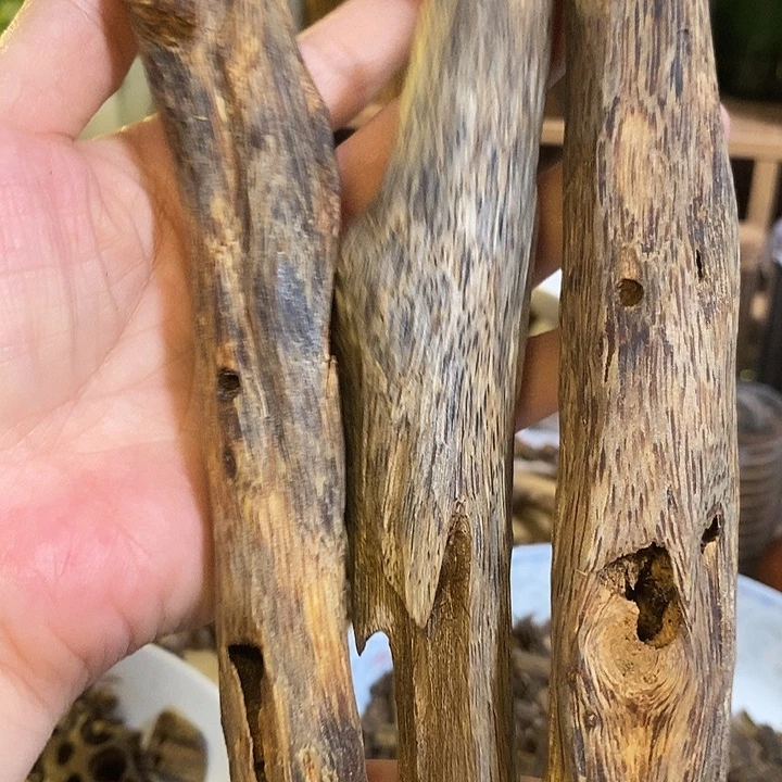 香榧木张勺子虫漏料138克