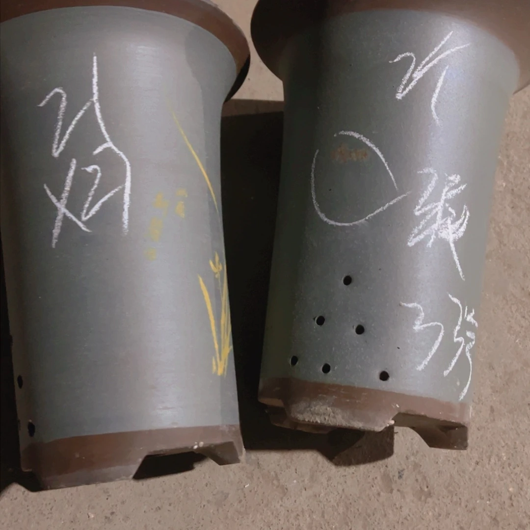 紫砂33…………………………