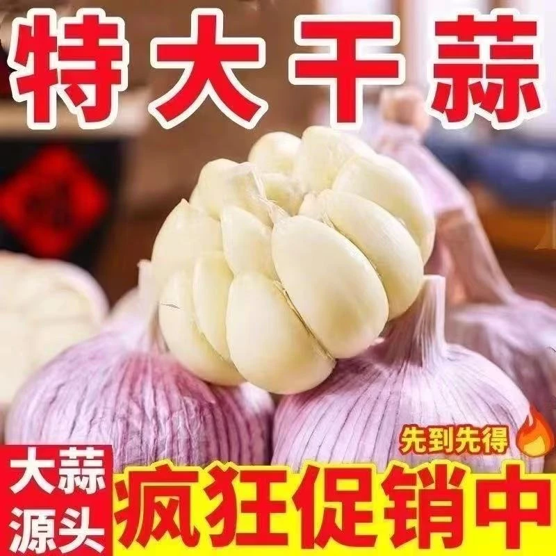 新紫白皮大瓣蒜大瓣蒜个大饱满辛辣十足整箱包邮