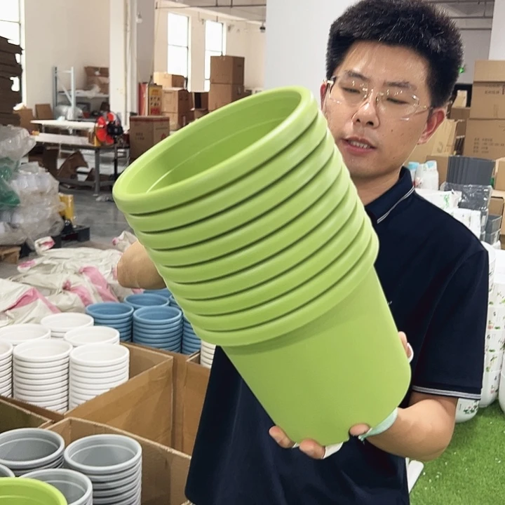 正品3号四季口21高18果绿无托10个