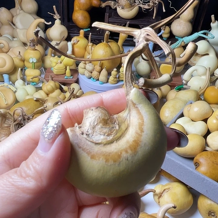 唯***李葫芦葫芦葫芦葫芦