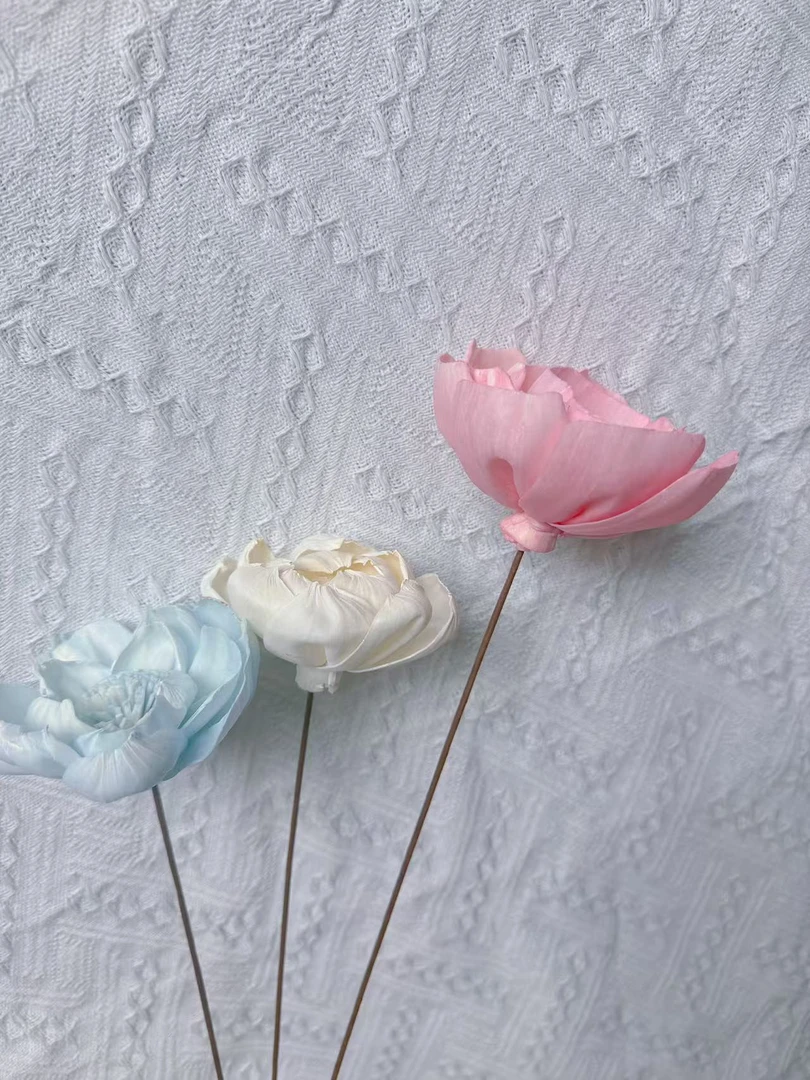 通草花摆件 客厅装饰 禅意插花 手工干花艺术品