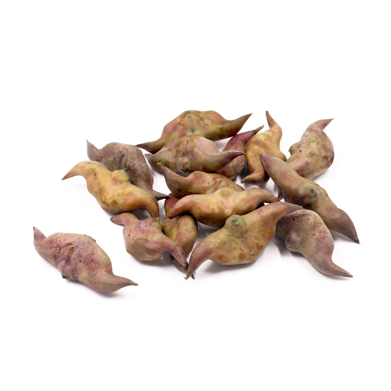 【水八仙】鲜菱角500g/份