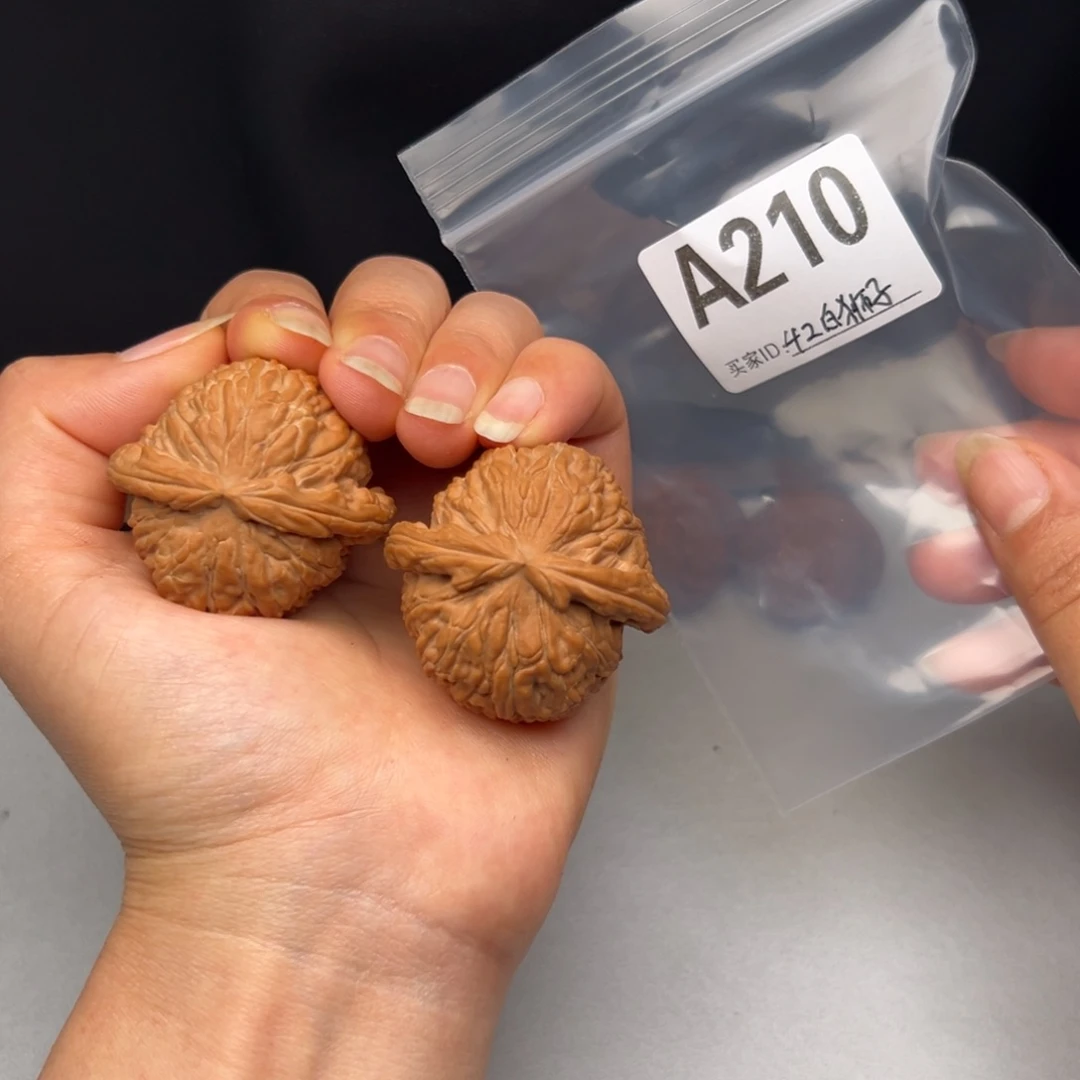 文玩核桃吊坠42白狮子全品