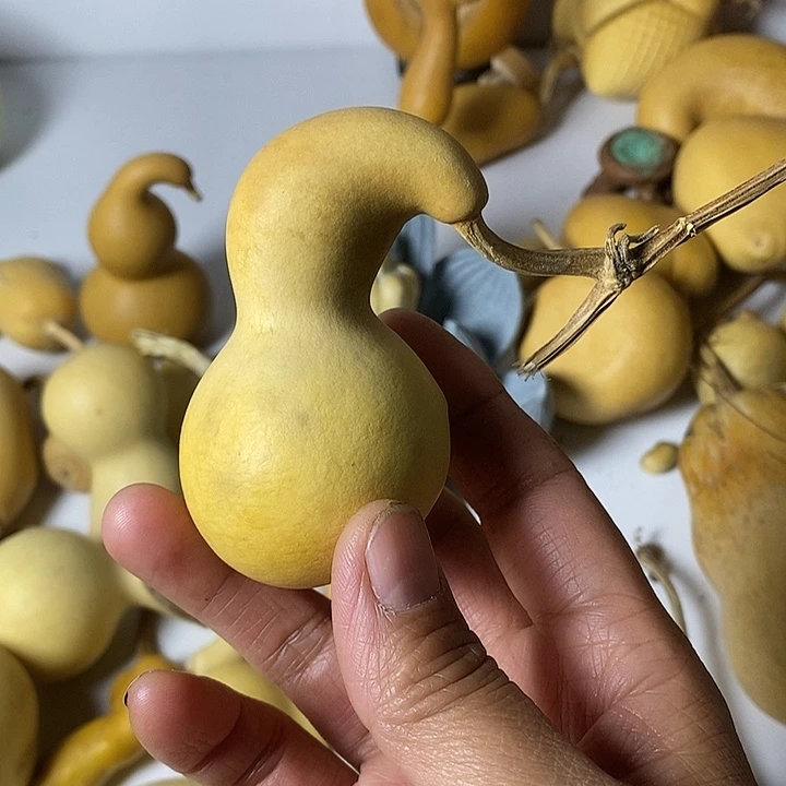 .***者异形葫芦手把件小葫芦