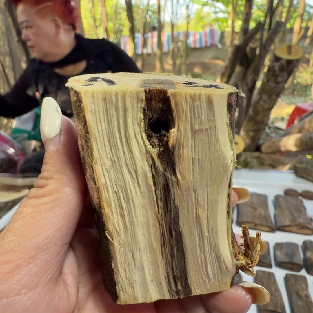 线香奇楠沉香原木