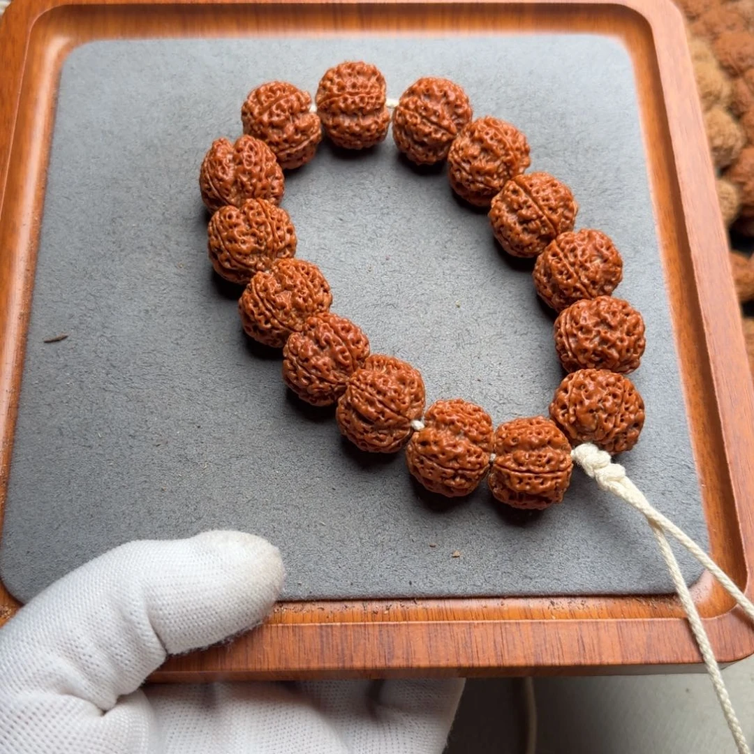 菩提菩提8号尼泊尔大金刚21古龙梅花