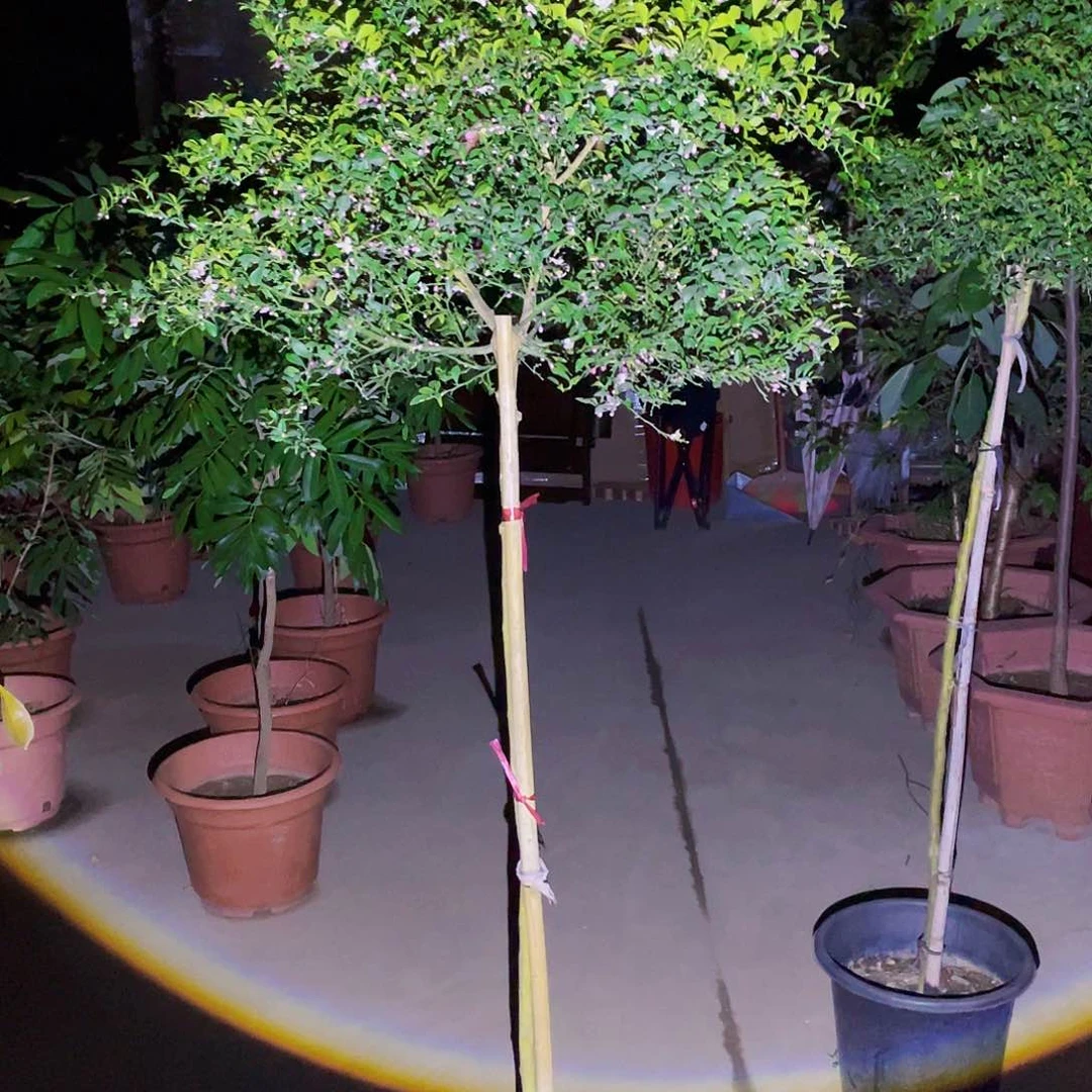 完全开放⌒****°g m 888888888888