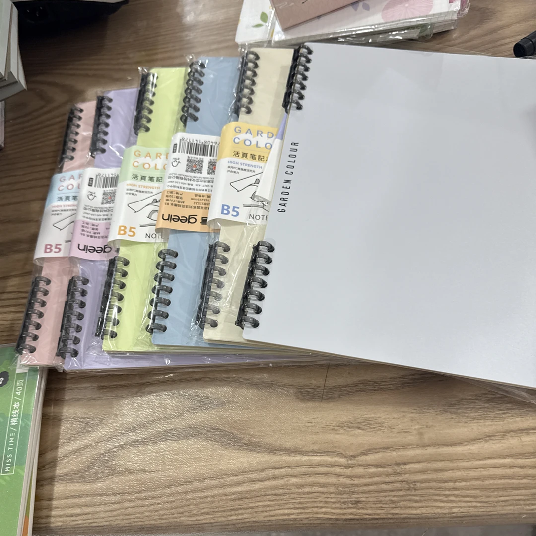 吉言发6本B5马卡龙色系活页单本60页