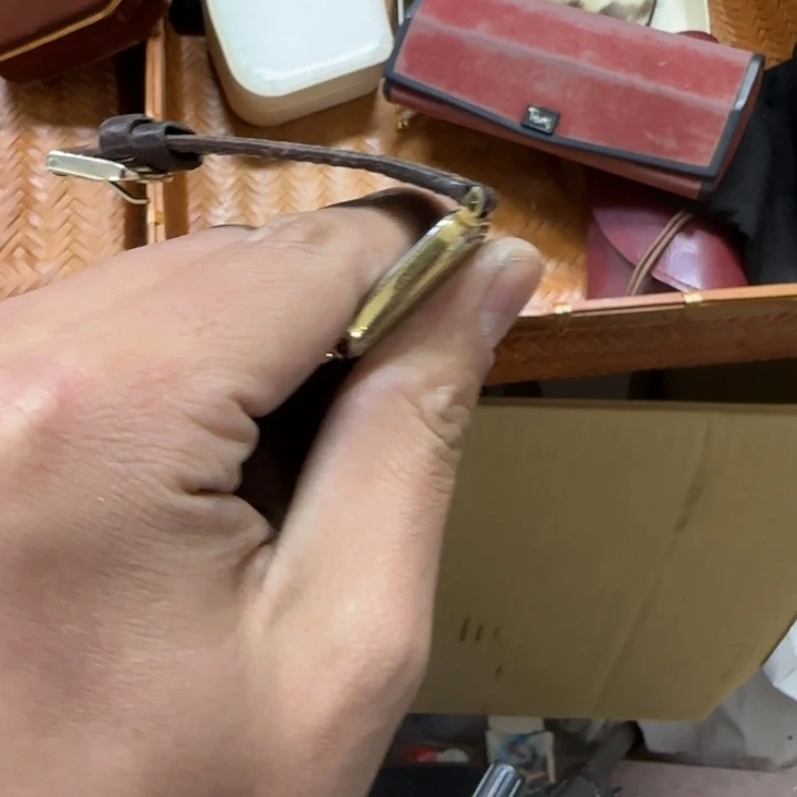 是*猫哈哈哈哈哈哈哈哈哈哈