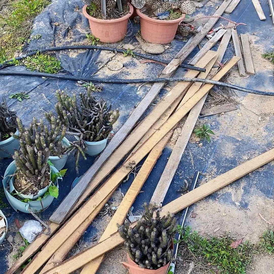 陈*生0000000000000000000