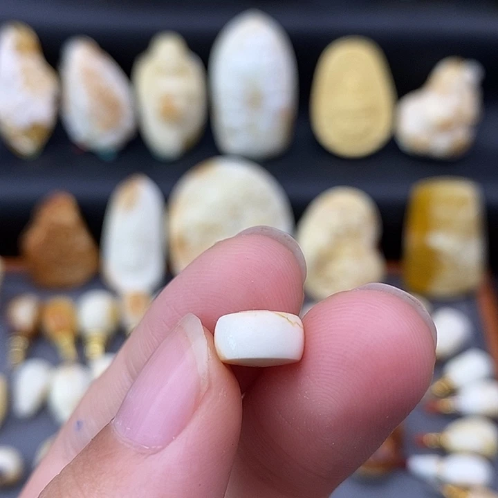 裸石琥珀未镶嵌9隔珠a48