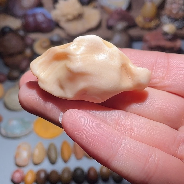 大叶紫檀（黑酸枝木类）