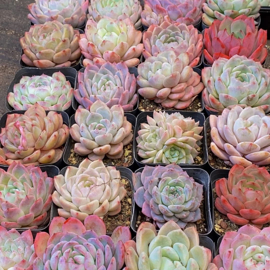 763多人在一起的时候我