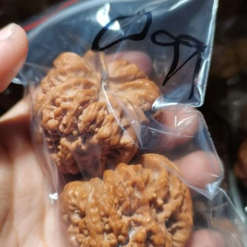 猴头核桃吊坠?*?45粗筋