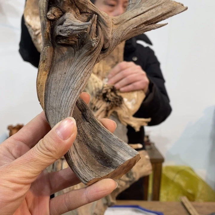 老*螺我们都是好孩子呀