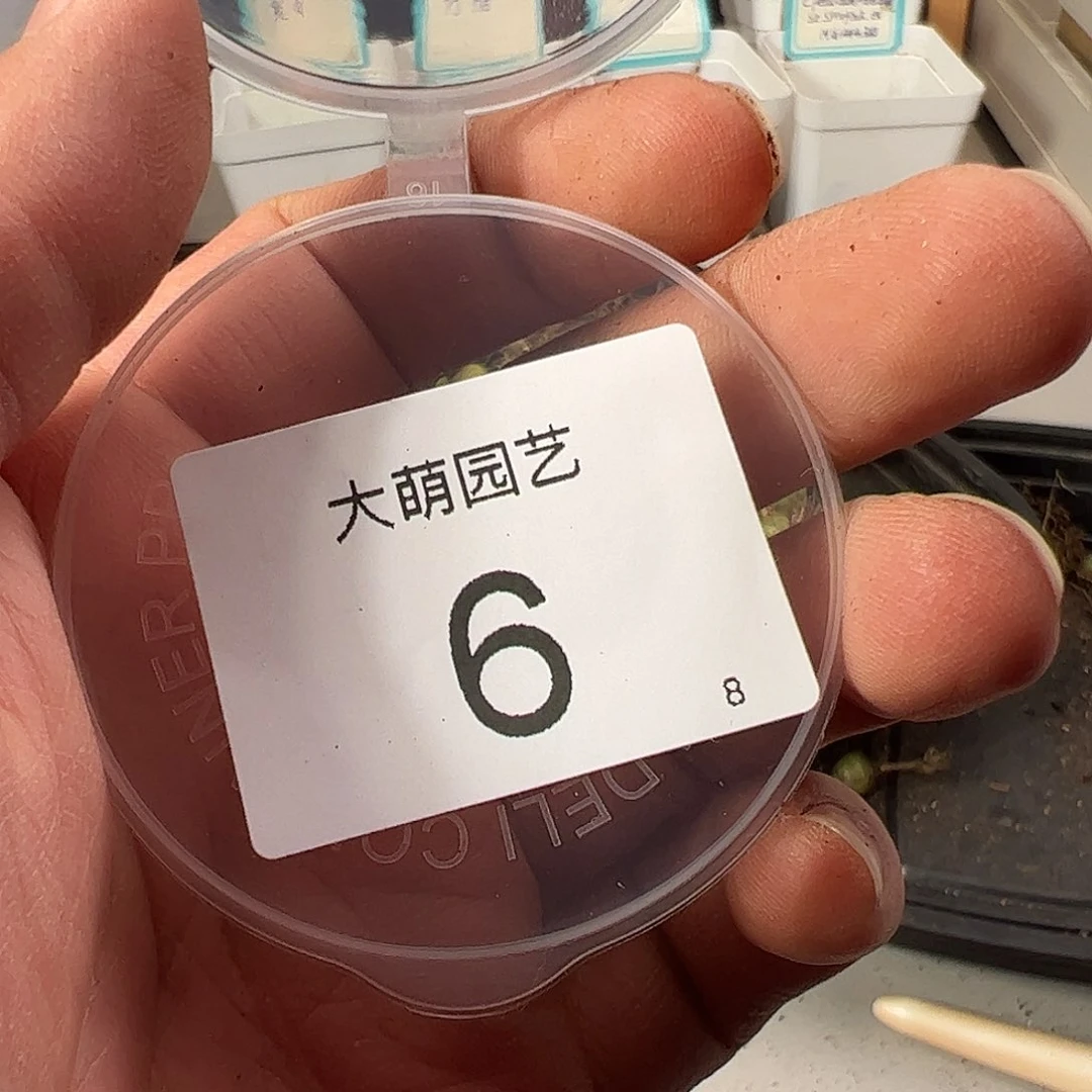 裴****）00006 一物一拍……