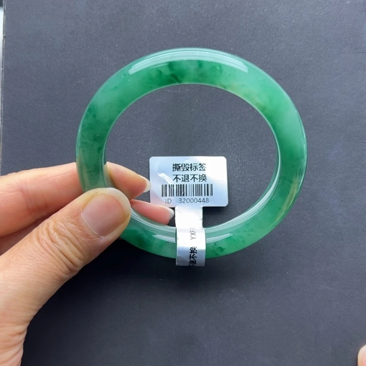 石英质玉未镶嵌手镯燕子➕57.5