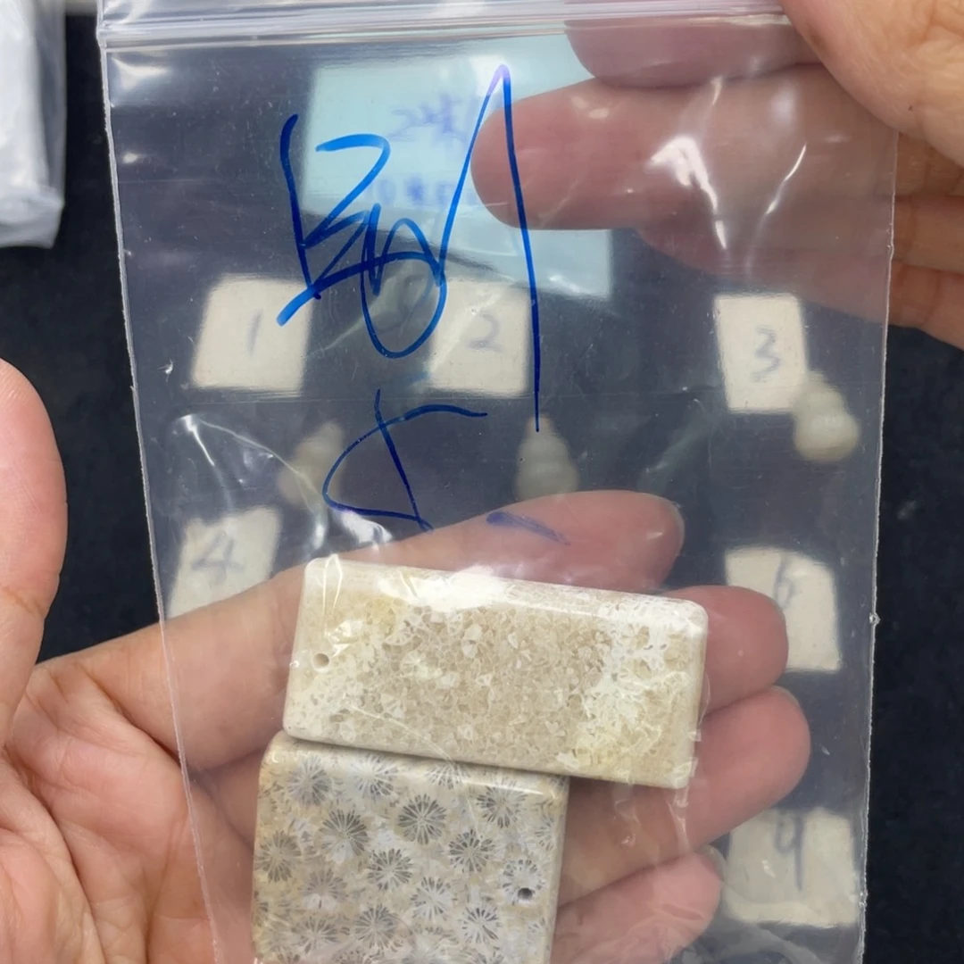 硅化珊瑚（珊瑚玉）合金颈饰别*界