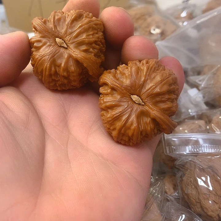 豹*白狮子41尺一个微修尖一丢丢